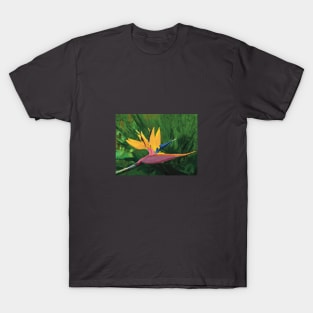 Bird of Paradise Hawaii T-Shirt